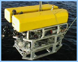 Aglantha ROV